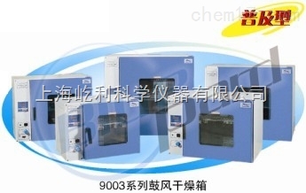 DHG-9013A 上海一恒 台式鼓风干燥箱